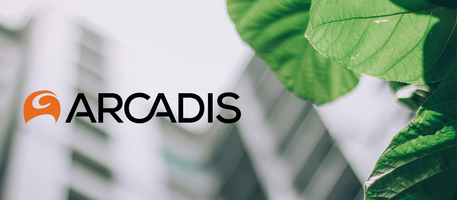 Imgheader actu arcadys nouveladherent